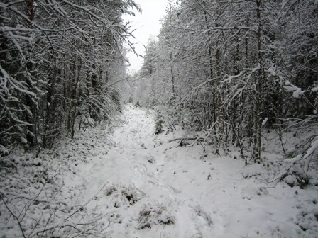 luminen maisema