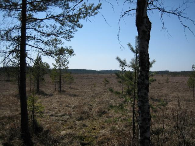 Kevät koittaa